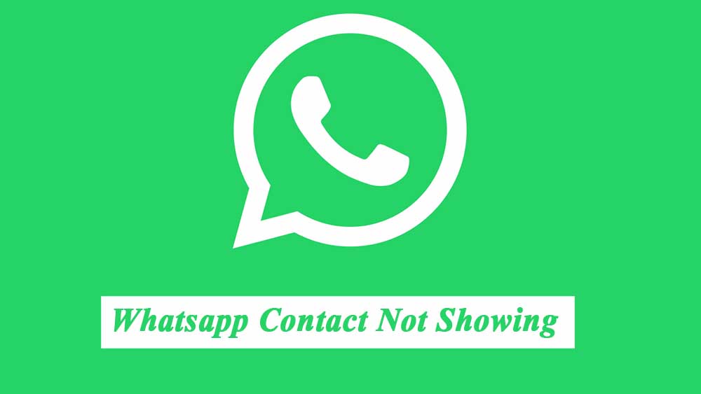 Whatsapp Contact Not Showing Numbers Instead of Names in Whatsapp